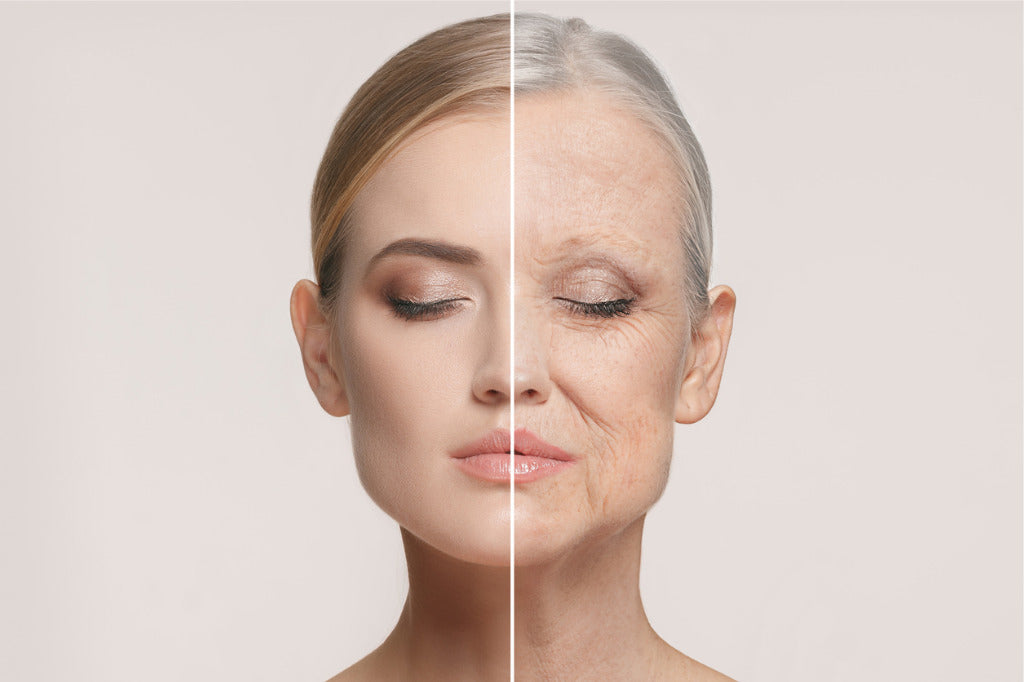 Vergleich junges und älteres Gesicht – Hautveränderungen durch Facelift und ZO Skin Health Pflege